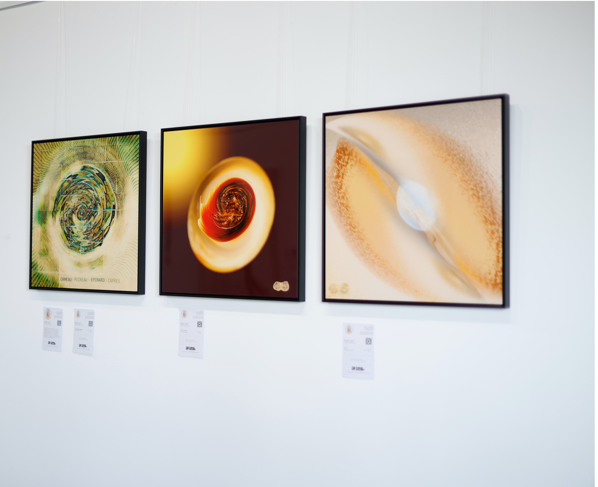 ROSC ART works on the wall at The Fusion Art Gallery, Málaga — Patchwork Ormeau, Lunar Crater and Chevalier Foie Gras