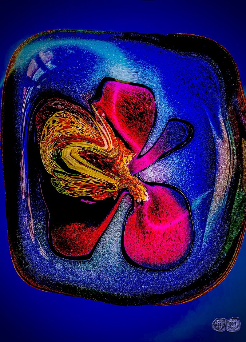 Red Cabbage Pond — ROSC ART