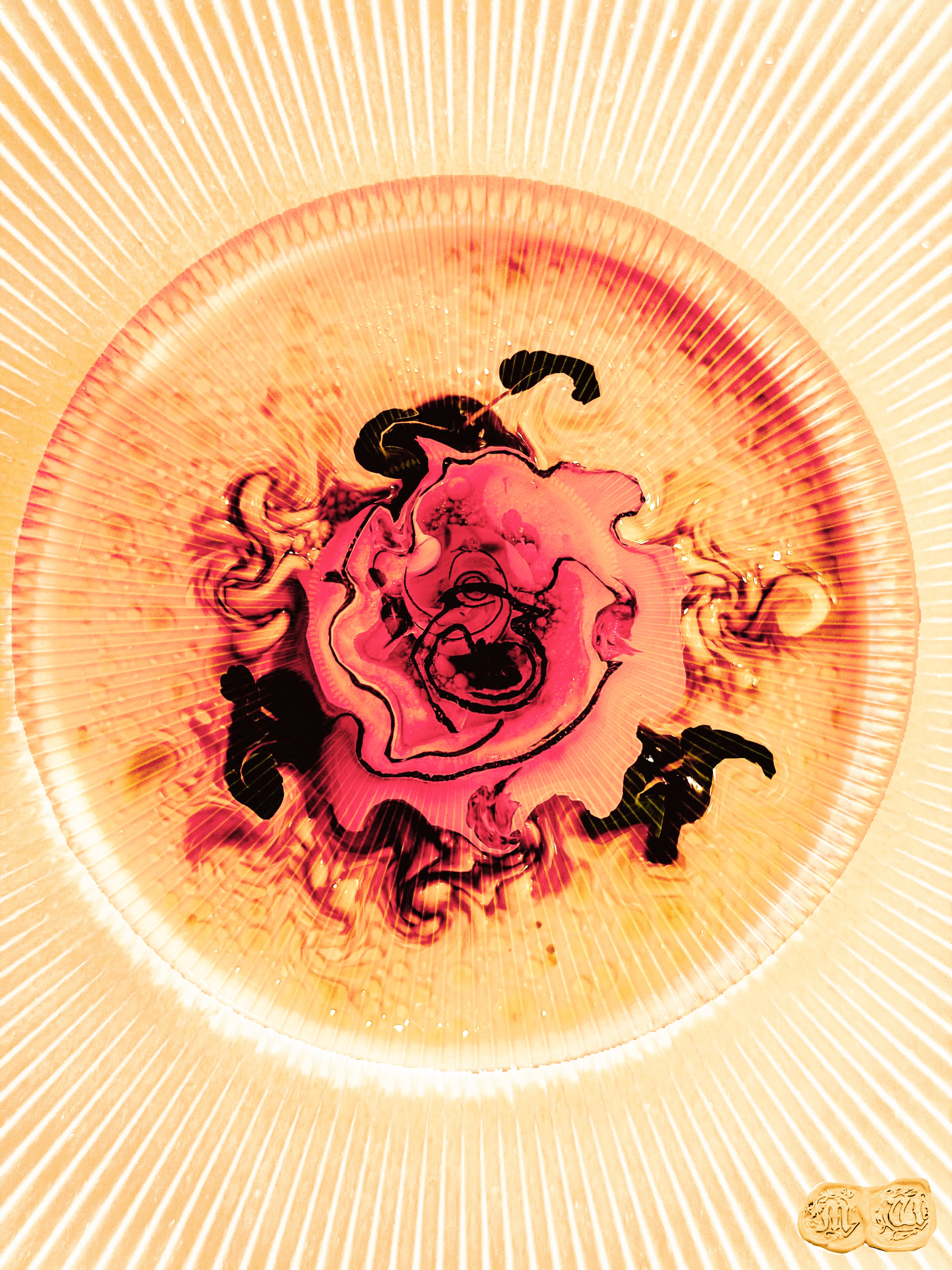 A Rose — Louis Linster